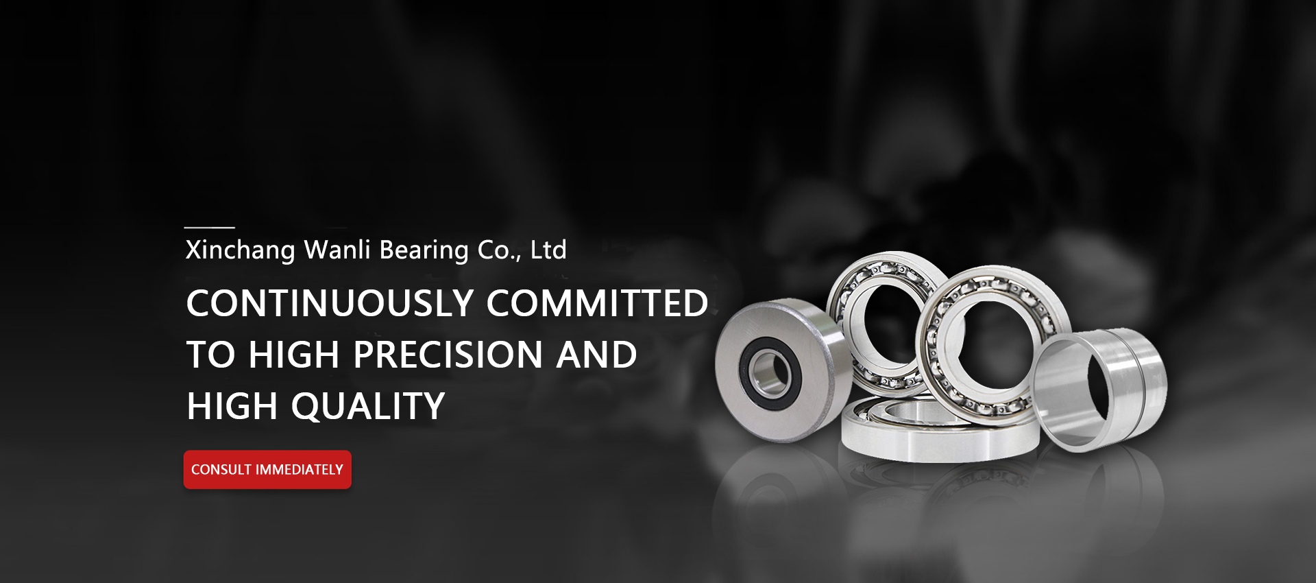 Xinchang Wanli Bearing Co., Ltd